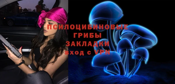 spice Осташков