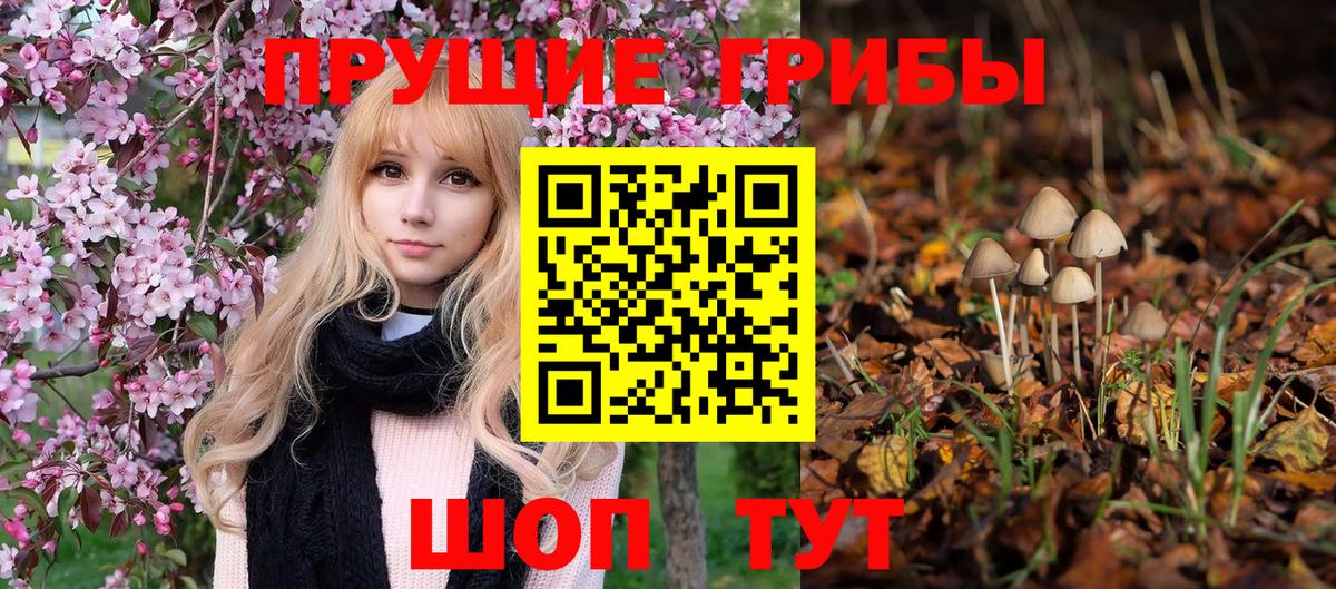 Галлюциногенные грибы ЛСД  Вход с VPN  купить наркотики сайты  Чебоксары  Псилоцибиновые грибы Psilocybe 